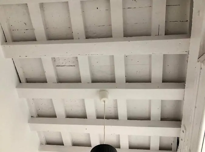 La Luz Del Falla Ha *